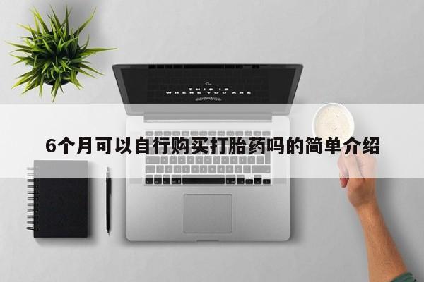 购买打胎药私人可以买吗6个月可以自行购买打胎药吗的简单介绍